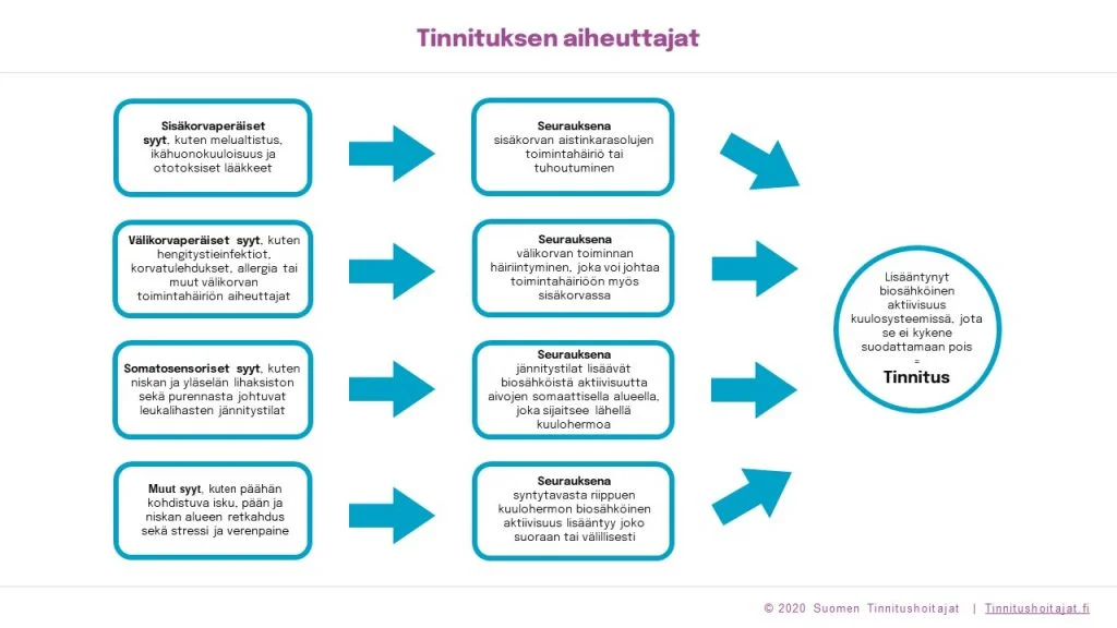 Tinnitusta aiheuttaa sisäkorvaperäiset, välikorvaperäiset, somatosensoriset ja monet muut syyt